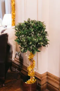 A Christmas tree adorned with gold tinsel in a pot at Orchardleigh House.