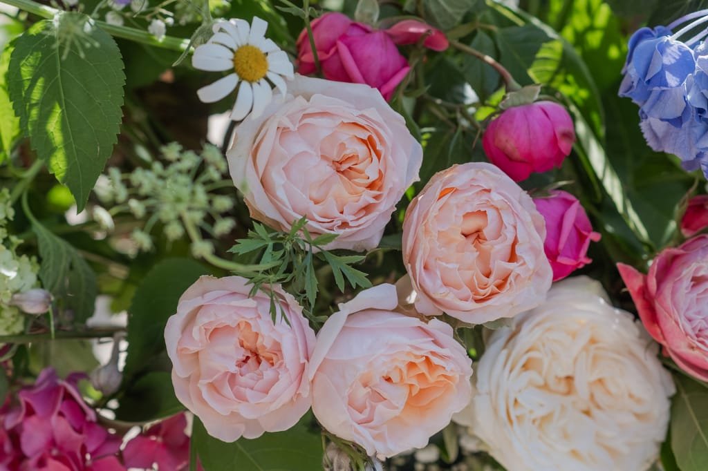 A close-up of a bouquet featuring pale pink roses, a white daisy, and other various flowers with green leaves—perfect for PYTHOUSE WEDDINGS.