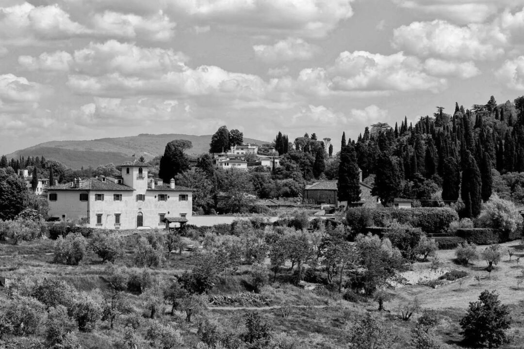 A black and white image of a rural landscape, captured in classic Black & White Film Photography style, with scattered houses, tall trees, and rolling hills under a sky with scattered clouds.