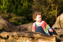 A young child with curly hair in a colorful sweater sits on a large, fallen tree trunk in a forested area, creating an enchanting scene perfect for portrait photography.