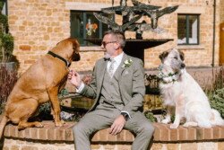 A man in a grey suit, adorned with a boutonnière, sits on a brick ledge between two dogs: a brown dog on his left and a white, fluffy dog with a floral collar on his right, creating the perfect photo backdrop at Croftview Weddings Hinton Park.