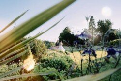 A bride and groom stand together in a garden at Orchardleigh House Weddings, surrounded by greenery and flowers, seen through large green leaves in the foreground with a clear sky overhead.