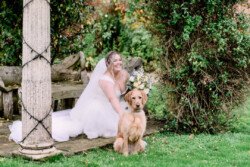 A bride in a white dress sits on a wooden bench at Elmhay Park, smiling with a bouquet beside her golden retriever, capturing the perfect moment for any wedding photographer.