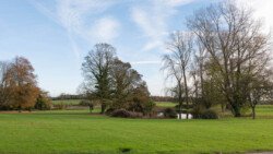 Open grassy field with scattered trees, some adorned with autumn leaves. A small pond glistens in the middle distance beneath a clear blue sky—a perfect scene for capturing enchanting moments, reminiscent of a Hartham Park Wedding Photographer’s dream backdrop.